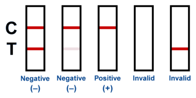 12 panel drug test results lines