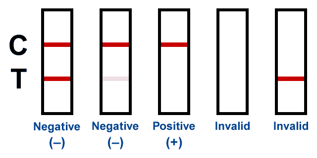 12 panel drug test results lines