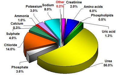 Chemical makeup of human urine