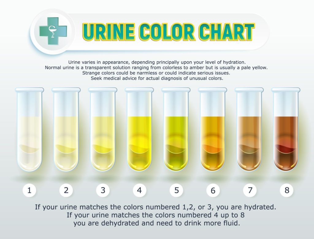 Urine color chart